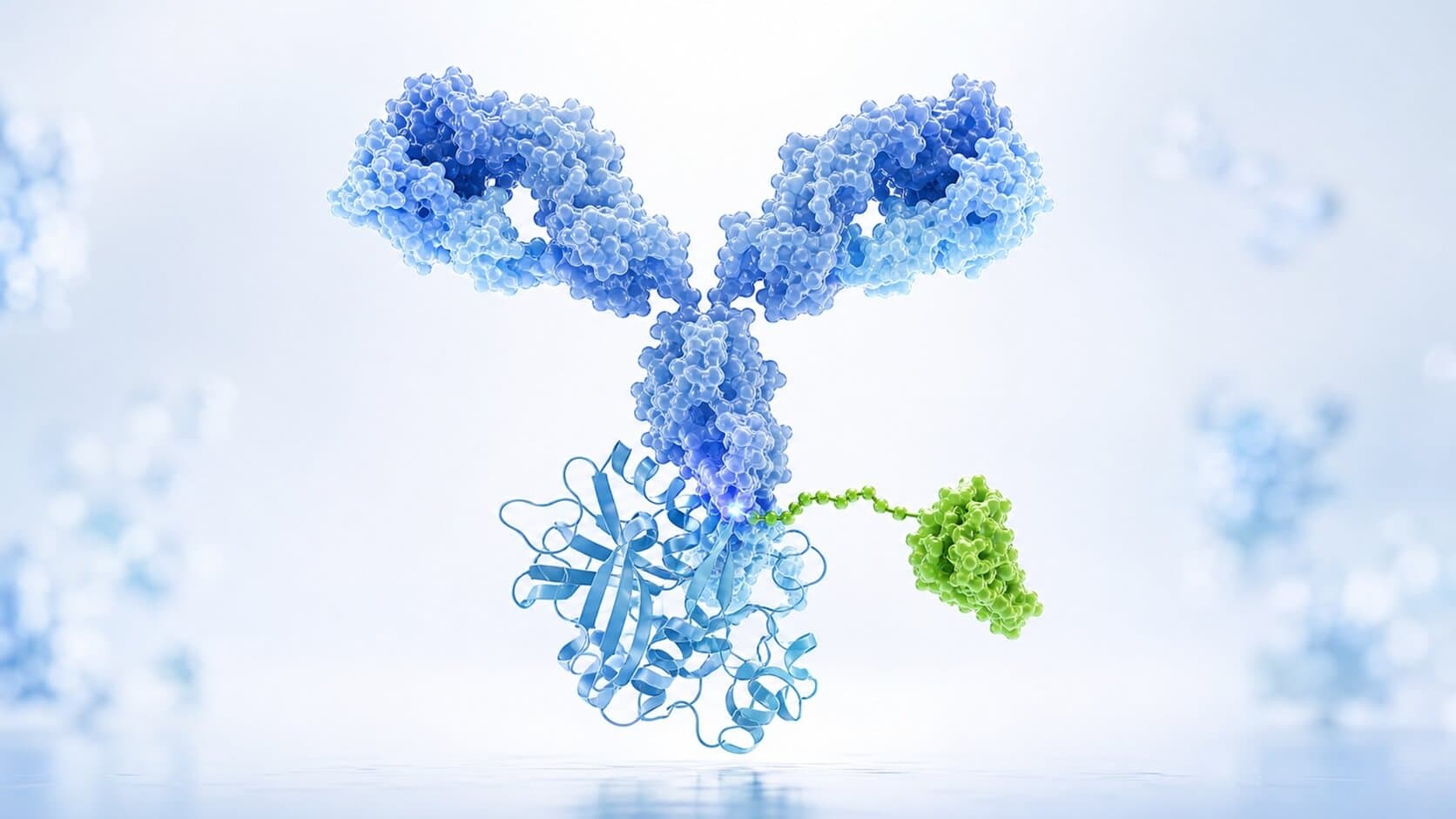 Reported Sortase A Conjugation Platform Improves ADC Uniformity