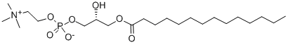M-lysoPC