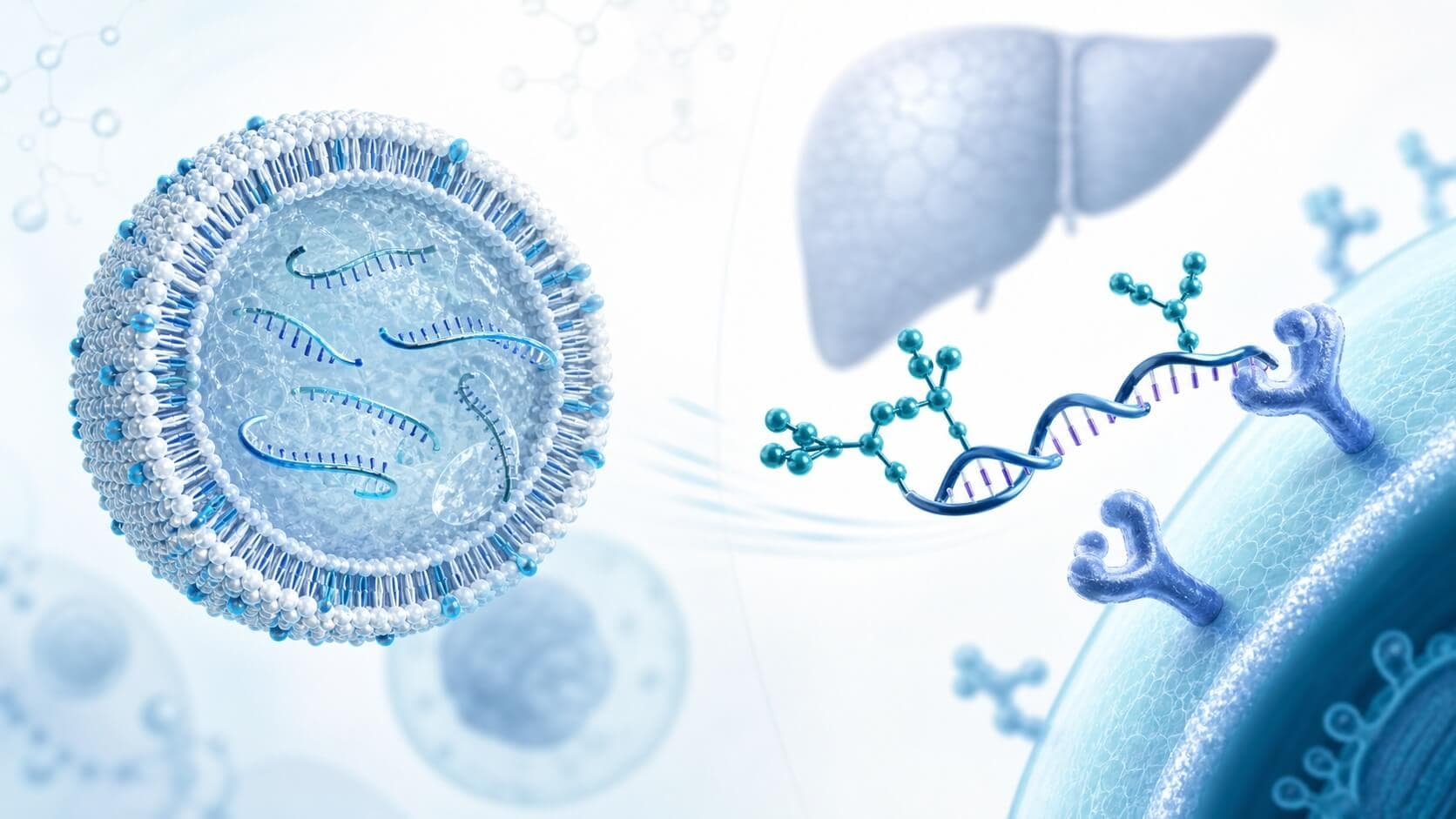 LNP vs GalNAc Delivery for siRNA: Formulation and Manufacturing Considerations