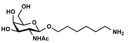 β-D-GalNAc-Hexyl-Amine structure, MW 320.38