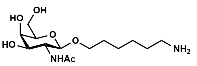 β-D-GalNAc-Hexyl-Amine