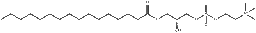 P-LysoPC structure, CAS 17364-16-8, MW 495.63
