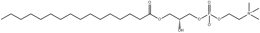 P-LysoPC