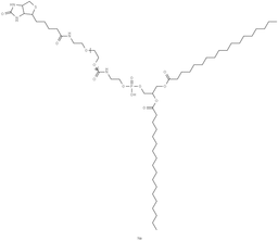 DSPE-PEG2000-Biotin structure, CAS 385437-57-0, MW 2000 (Average)